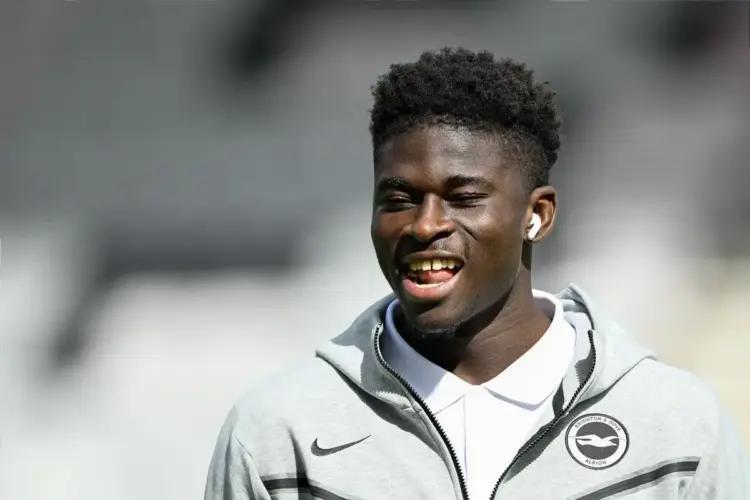 望在一月份 望在一月份