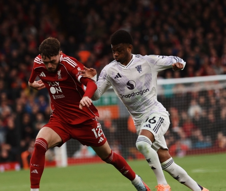 都不够熟悉 都不够熟悉